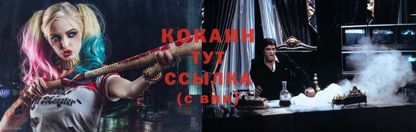 стафф Баксан