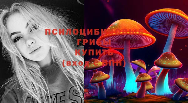 мдпв Осташков