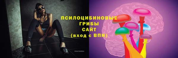 стафф Баксан