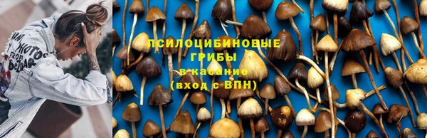 стафф Баксан