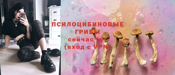 стафф Баксан